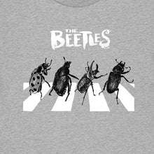 The Beetles