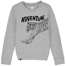 TIGER - adventure