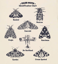 TIGER MOTH - Identification chart