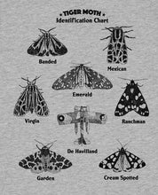 TIGER MOTH - Identification chart