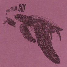 TURTLES - ready, steady, GO ...